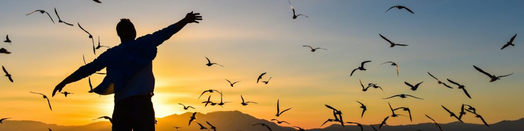 Blog, Blog