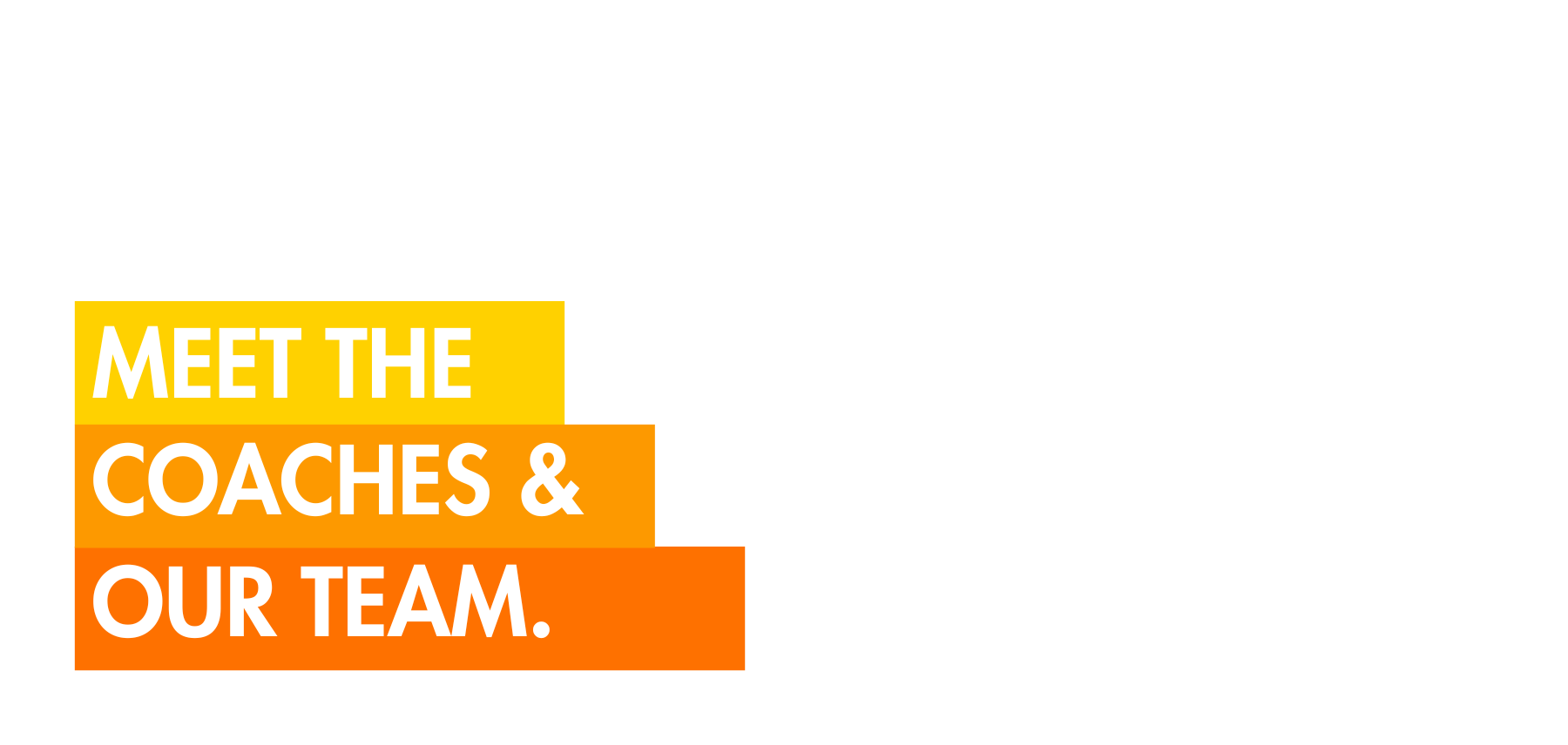 Meet the Team